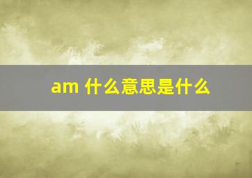 am 什么意思是什么